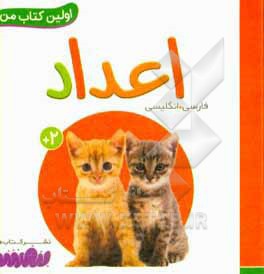بورد بوک اولین کتاب من 20 اعداد